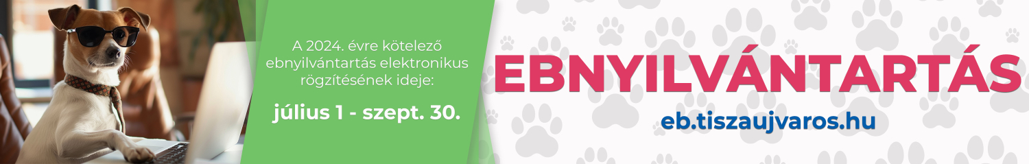 Ebnyilvántartó oldalára mutató link (új böngészőablakban nyílik meg)